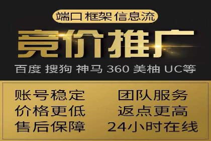 行业领先企业如何通过SEM推广代运营提升业绩