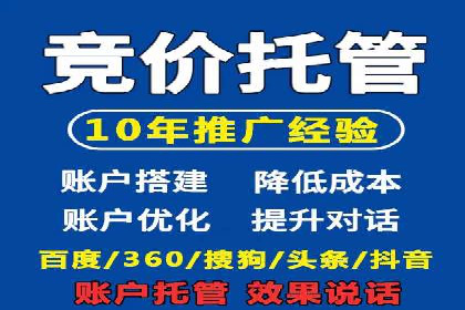 抖音信息流代理在电商行业的应用案例分析