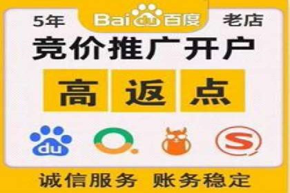 行业经典案例：SEM推广代运营如何助力销售增长